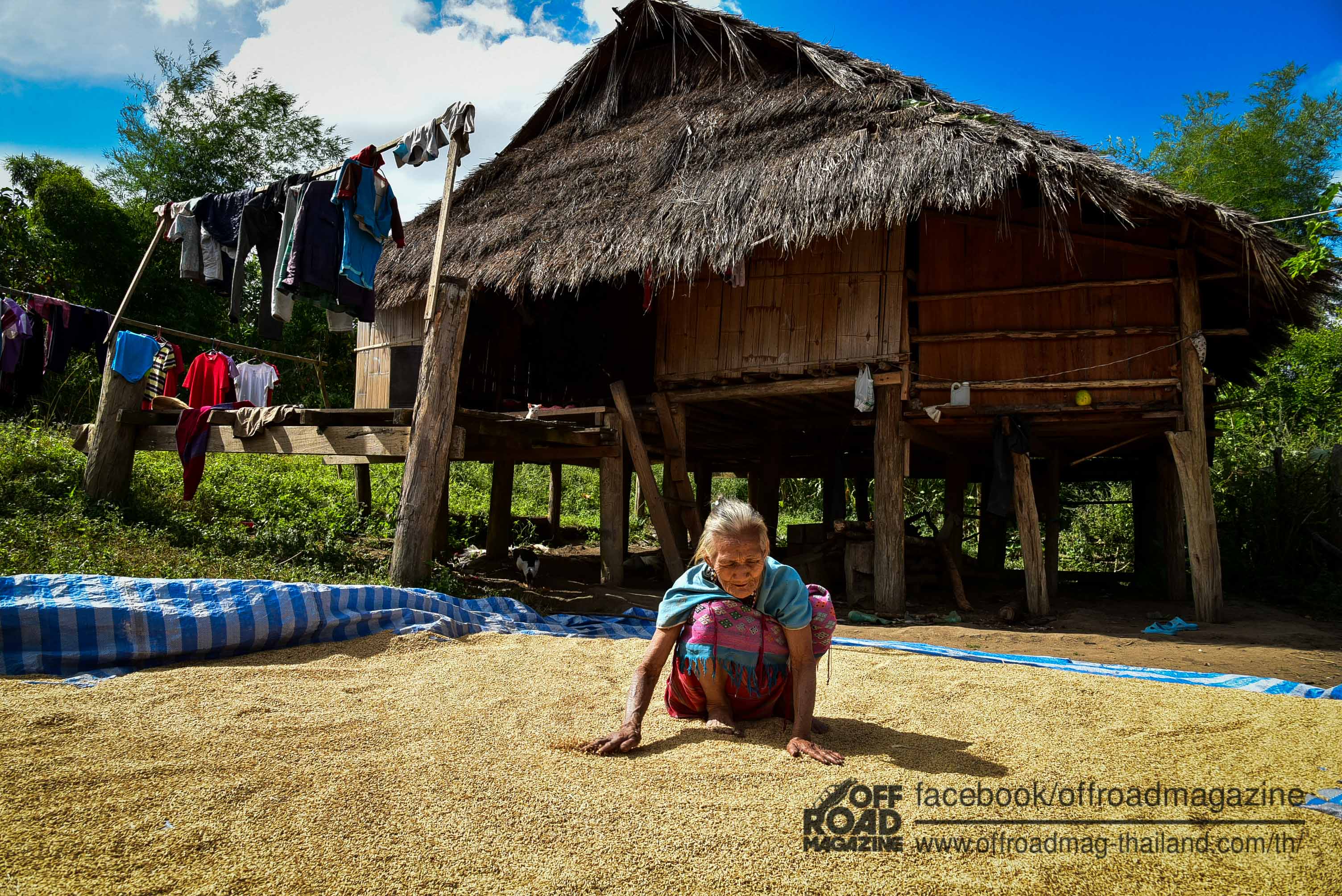 %e0%b8%a8%e0%b8%a3%e0%b8%b5%e0%b8%a3%e0%b8%b2%e0%b8%8a%e0%b8%b2-9