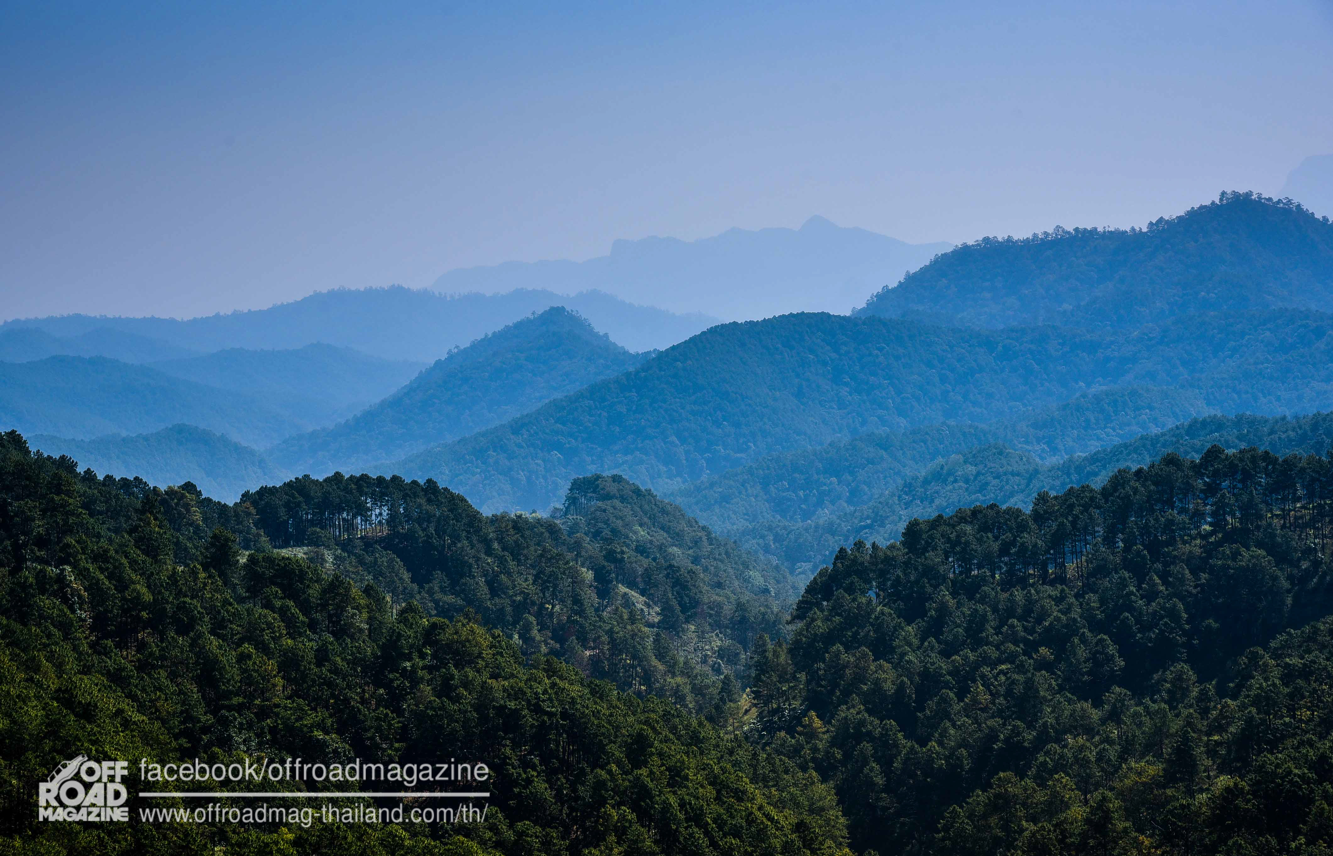 %e0%b8%9b%e0%b9%88%e0%b8%b2%e0%b8%95%e0%b9%89%e0%b8%99%e0%b8%99%e0%b9%89%e0%b8%b3-1