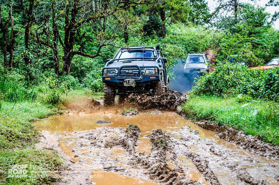 %e0%b8%9b%e0%b9%88%e0%b8%b2%e0%b8%95%e0%b9%89%e0%b8%99%e0%b8%99%e0%b9%89%e0%b8%b3-11