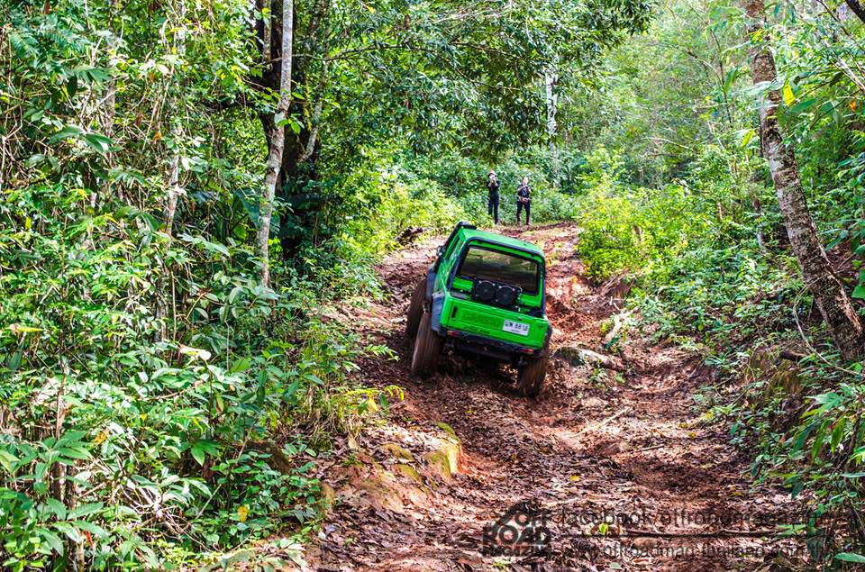 %e0%b8%9b%e0%b9%88%e0%b8%b2%e0%b8%95%e0%b9%89%e0%b8%99%e0%b8%99%e0%b9%89%e0%b8%b3-15