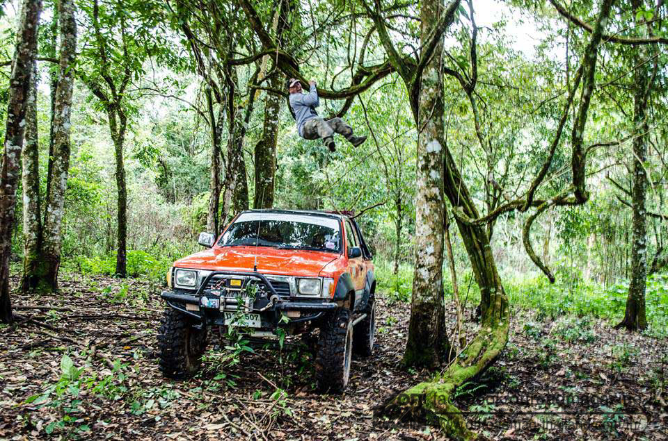 %e0%b8%9b%e0%b9%88%e0%b8%b2%e0%b8%95%e0%b9%89%e0%b8%99%e0%b8%99%e0%b9%89%e0%b8%b3-16