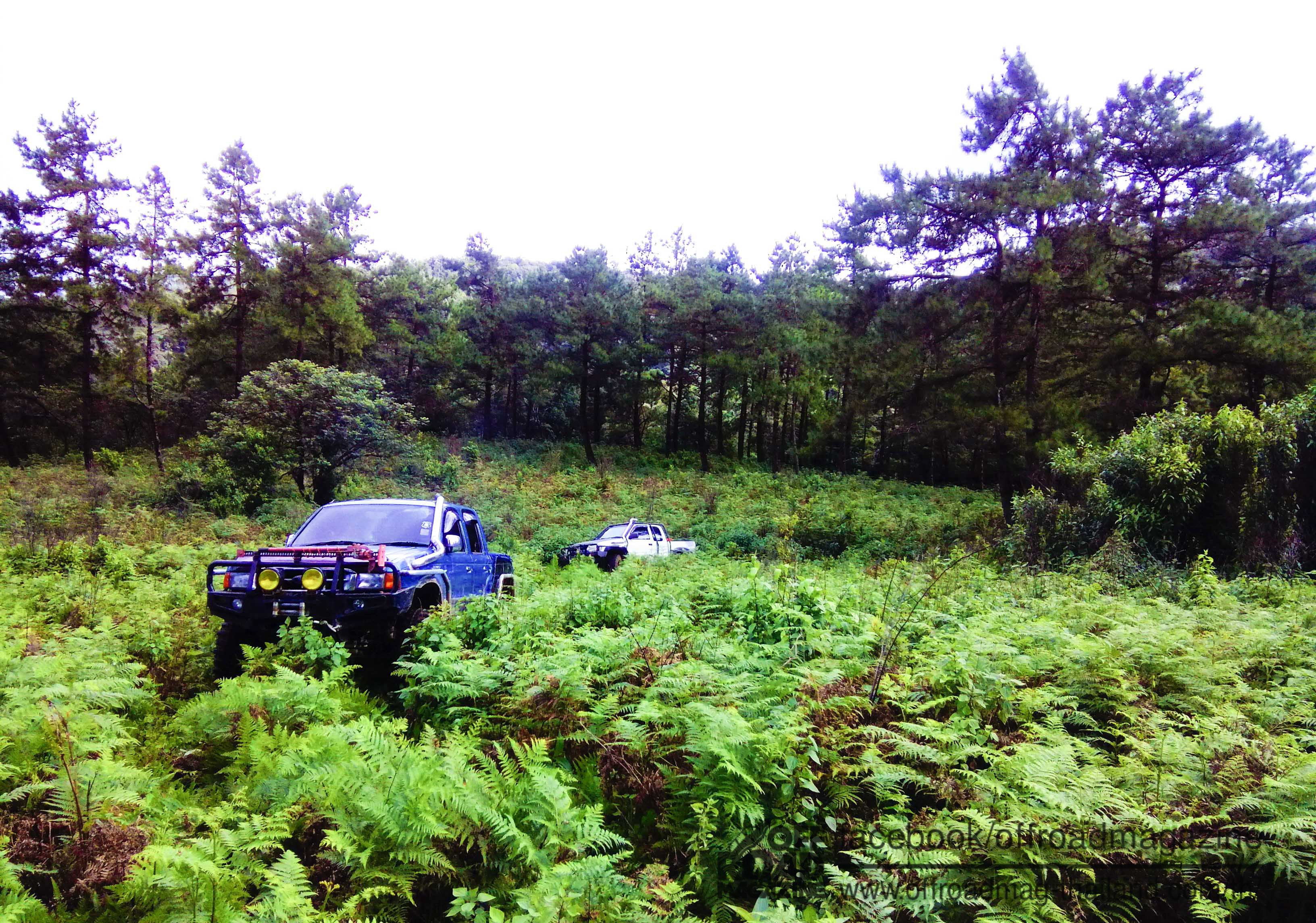 %e0%b8%9b%e0%b9%88%e0%b8%b2%e0%b8%95%e0%b9%89%e0%b8%99%e0%b8%99%e0%b9%89%e0%b8%b3-20