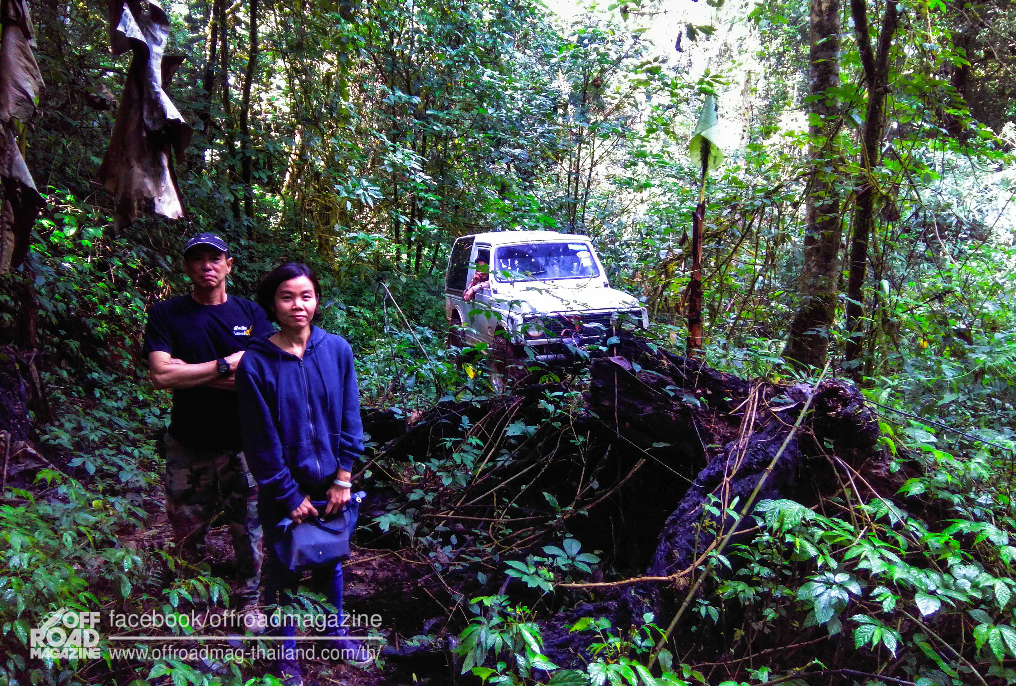 %e0%b8%9b%e0%b9%88%e0%b8%b2%e0%b8%95%e0%b9%89%e0%b8%99%e0%b8%99%e0%b9%89%e0%b8%b3-25