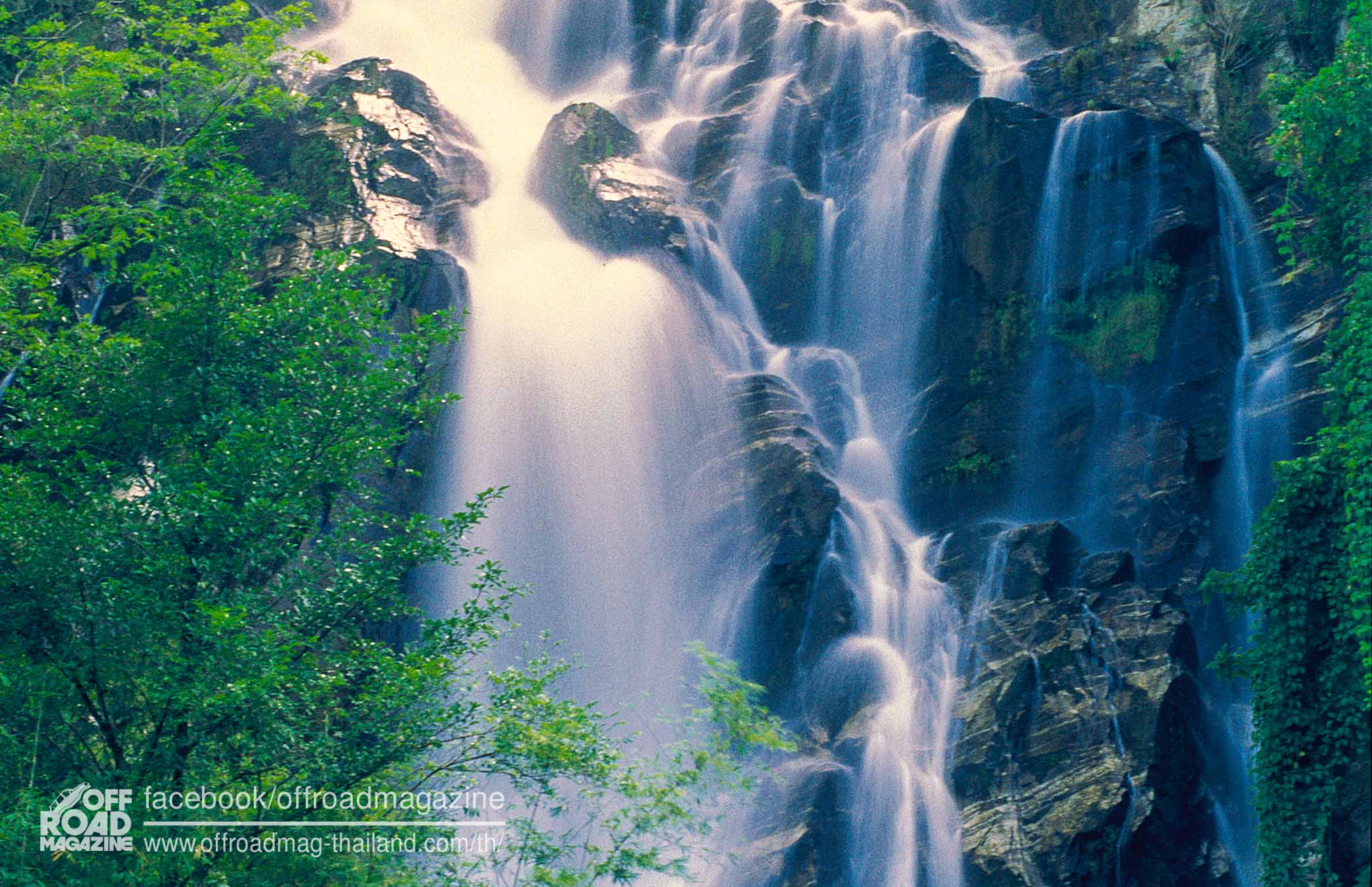 %e0%b8%9b%e0%b9%88%e0%b8%b2%e0%b8%95%e0%b9%89%e0%b8%99%e0%b8%99%e0%b9%89%e0%b8%b3-3