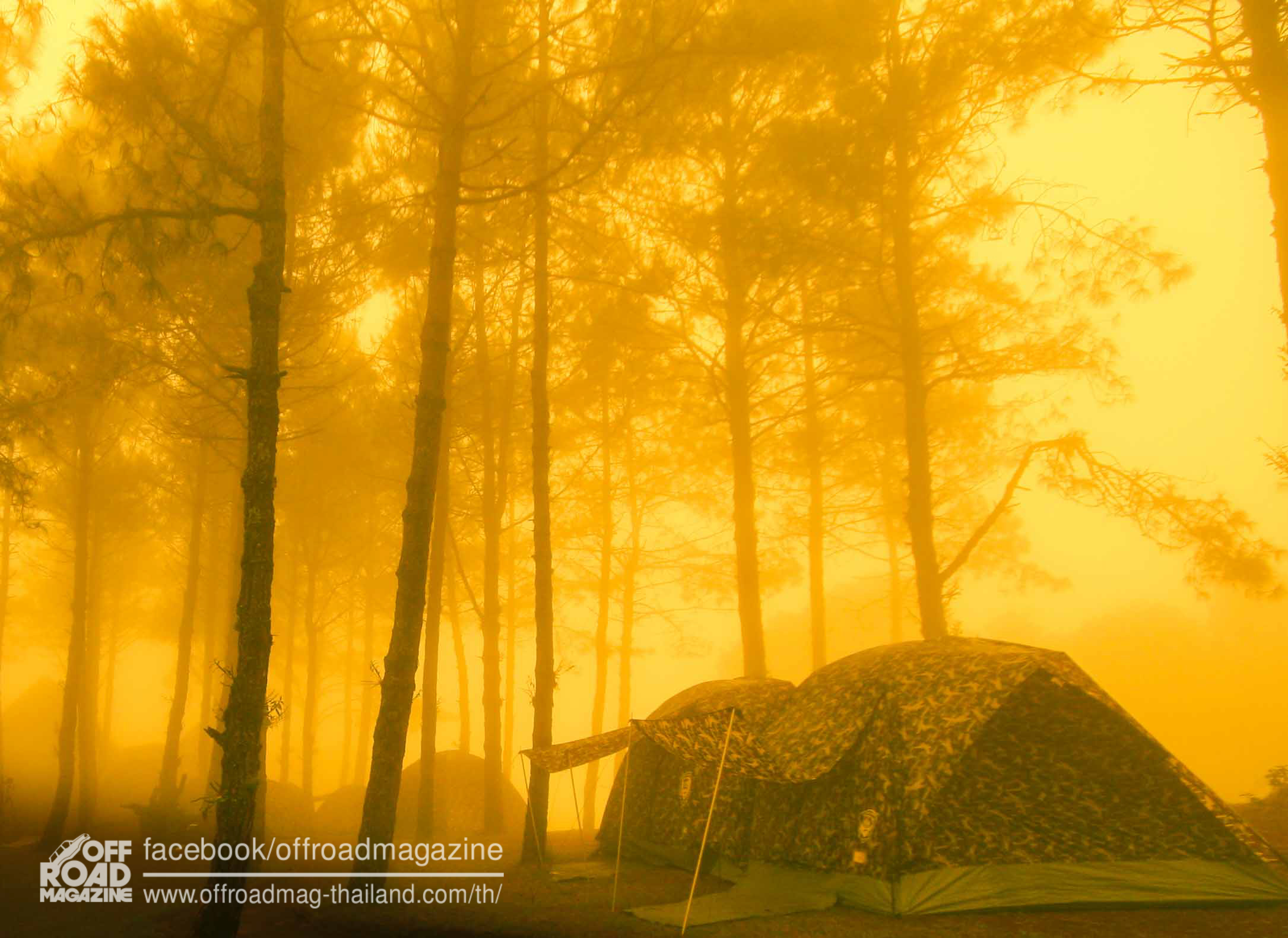 %e0%b8%9b%e0%b9%88%e0%b8%b2%e0%b8%95%e0%b9%89%e0%b8%99%e0%b8%99%e0%b9%89%e0%b8%b3-5