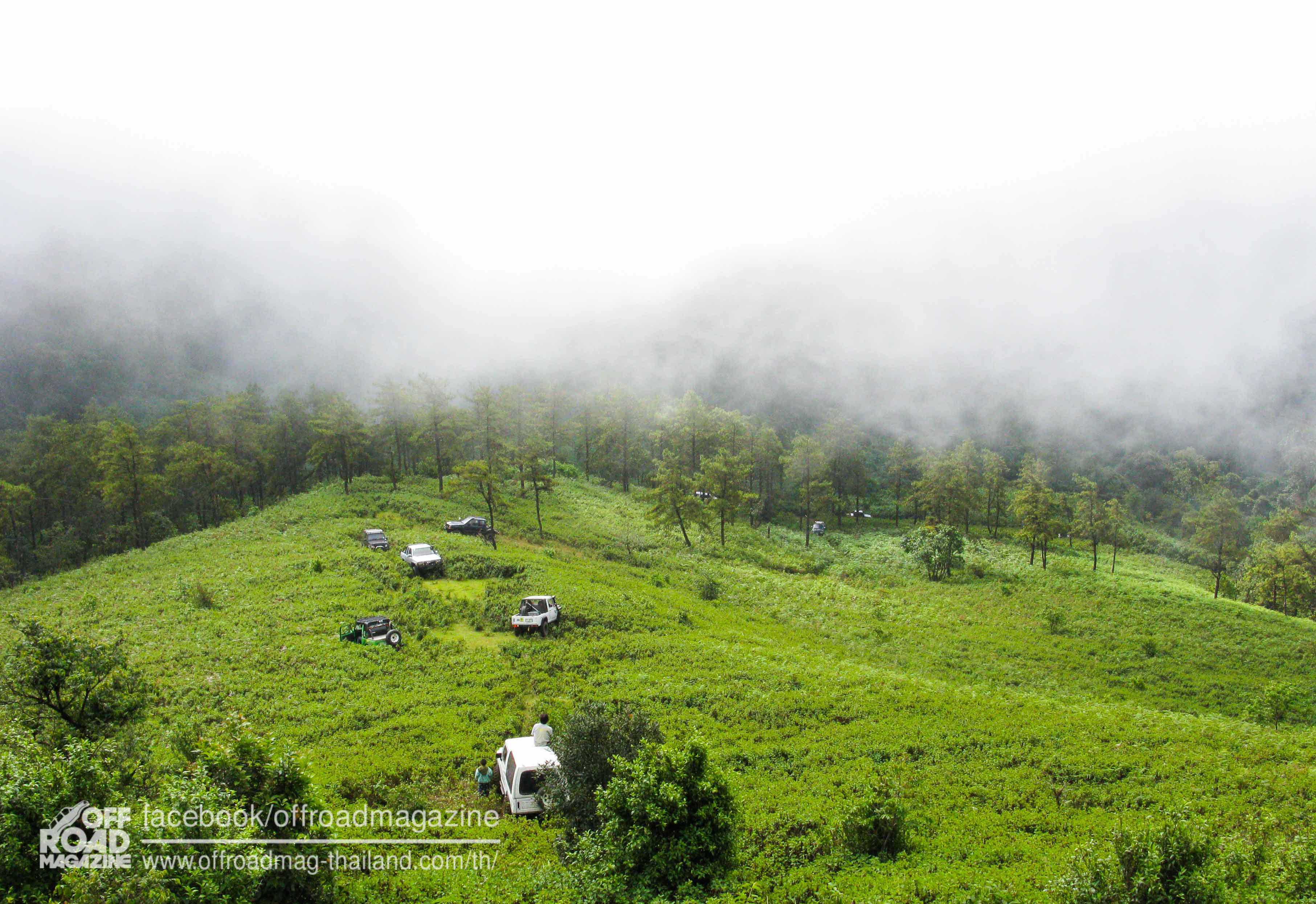 %e0%b8%9b%e0%b9%88%e0%b8%b2%e0%b8%95%e0%b9%89%e0%b8%99%e0%b8%99%e0%b9%89%e0%b8%b3-7