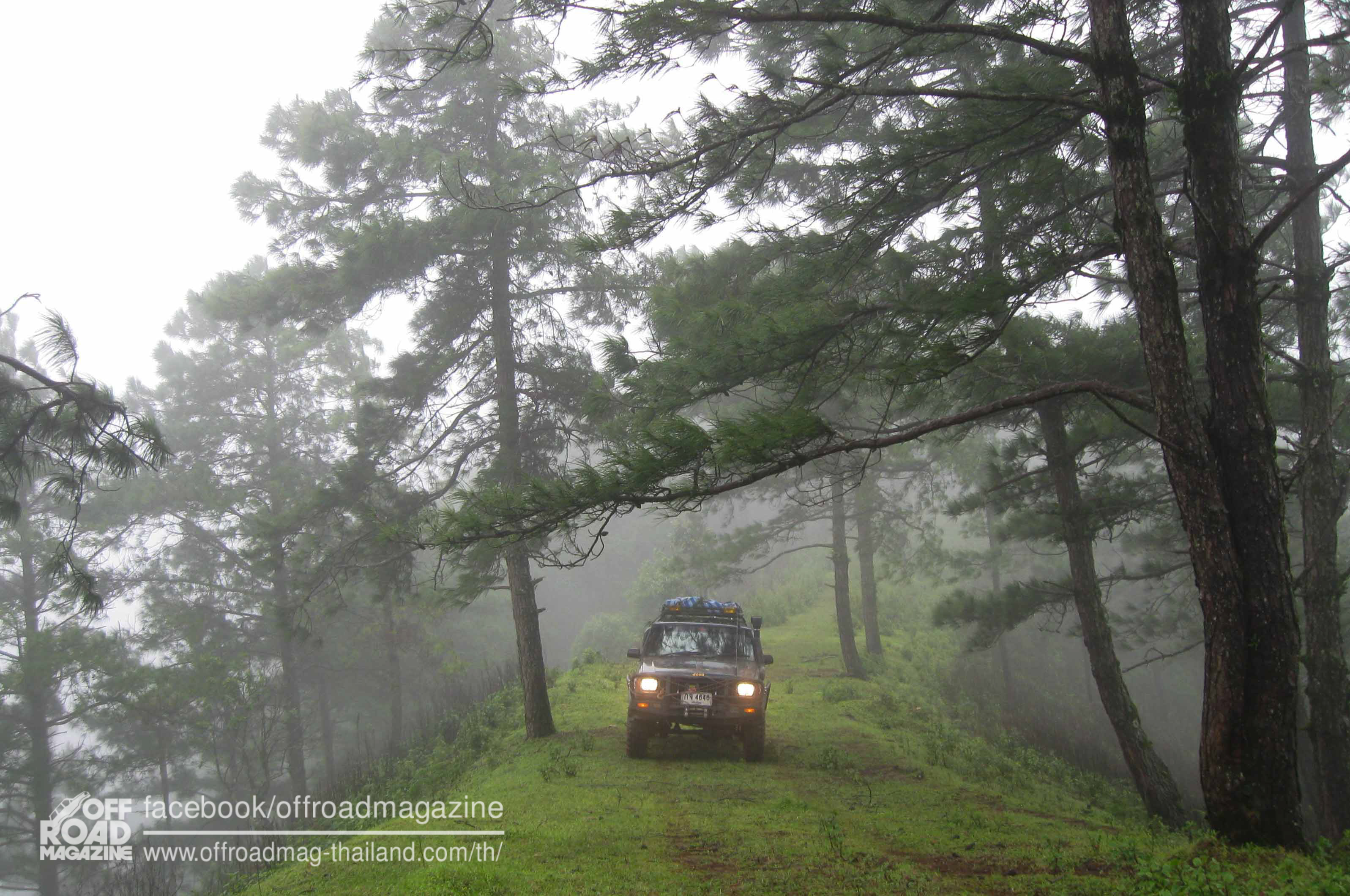 %e0%b8%9b%e0%b9%88%e0%b8%b2%e0%b8%95%e0%b9%89%e0%b8%99%e0%b8%99%e0%b9%89%e0%b8%b3-8