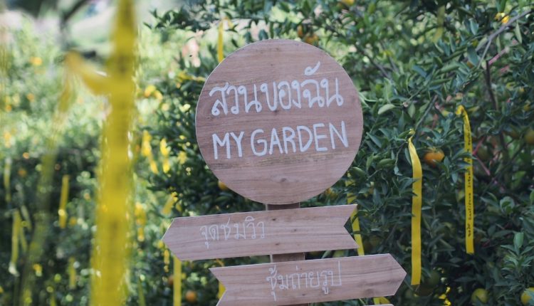 LINE_ALBUM_สวนส้ม My Garden_๒๒๑๑๒๙_5