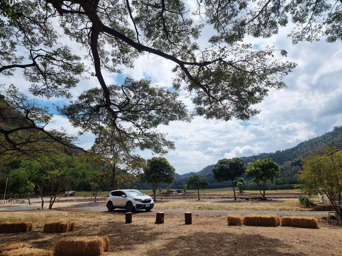 Calling Farm Park