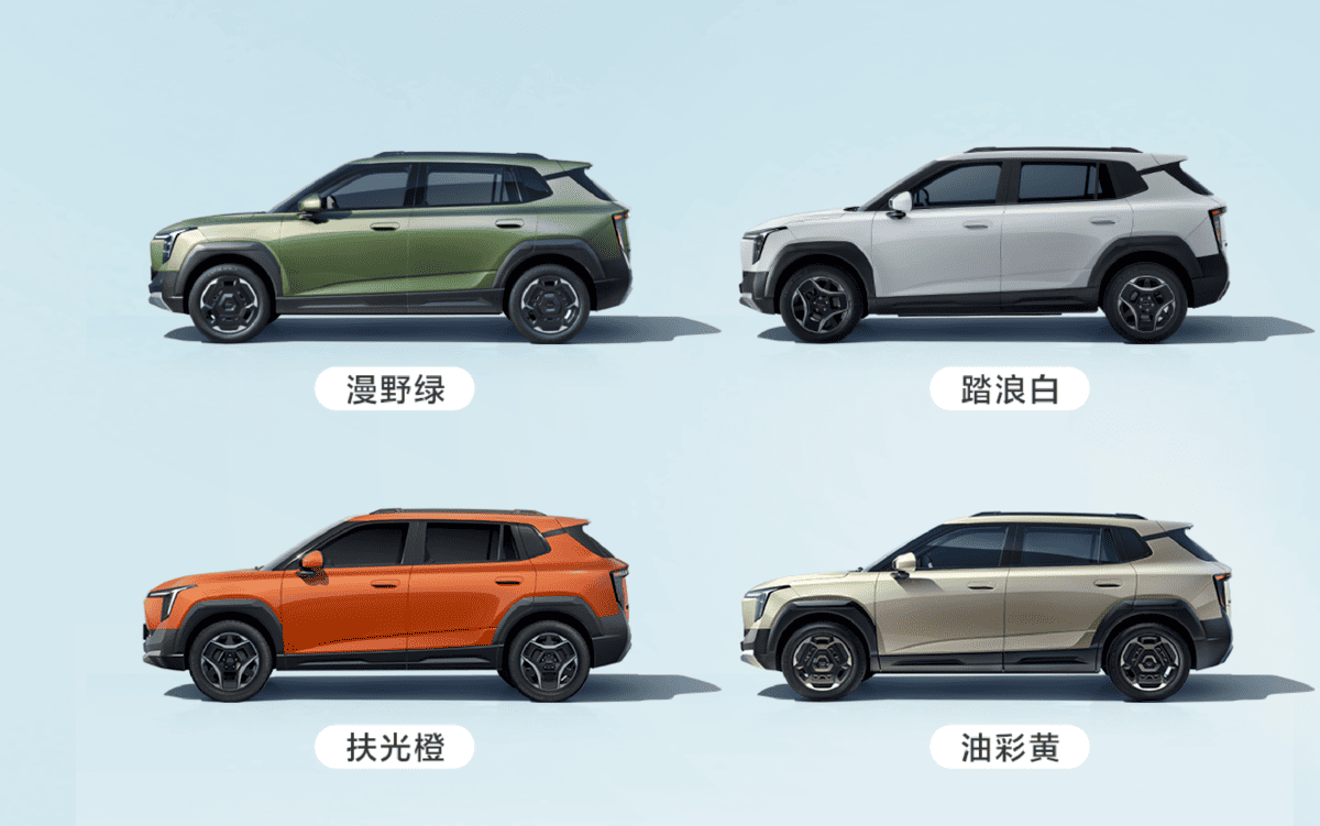 Dongfeng Nammi 06