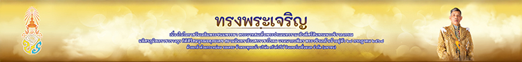 Topbanner